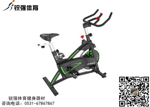 锐强体育推荐家用健身器材-动感单车SH-B3100S